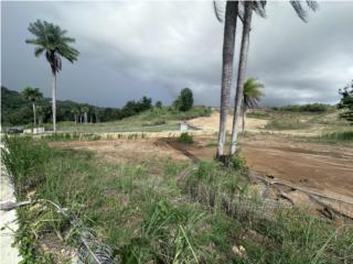 Hacienda del Dorado Puerto Rico