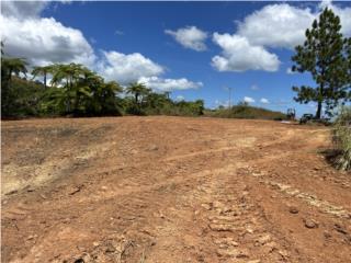 Tope de solar en lo ms alto de la finca