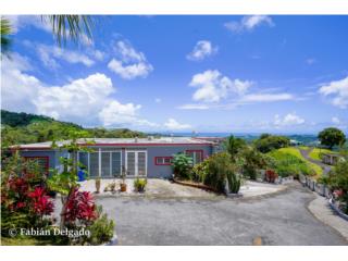 Mansin Vistas al Mar + 4 cuerdas - Yabucoa