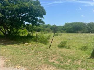 Bo Jobos, Guayama