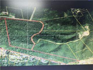  Terreno de 66 cuerdas 900K