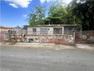 Ojo de Agua #61, Vega Baja