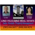 Lino Feliciano Real Estate
