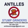 ANTILLES STUMP GRINDERS