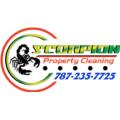 Scorpion Property Cleaning