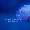 The Puerto Rican Sea Group