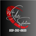 Wilo Auto Solution