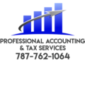 Professional Accounting & Tax 