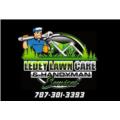 Ledey Lawn Care and Handyman