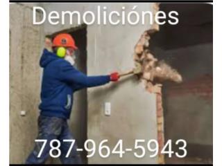 ESCOMBROS  Y OTROS  SERVICIOS  - Construccion Puerto Rico