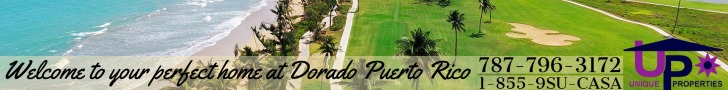 Unique Properties - Sale - DBE 423