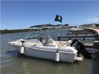 Wellcraft - 98 Wellcraft WA 23 con Mercury EFI 250 hp, Botes Puerto ...