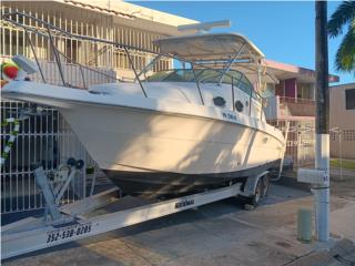 Botes Wellcraft coastal 27 Puerto Rico