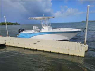 Botes Sea Fox  Puerto Rico