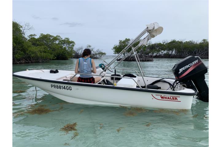 Boston Whaler - Boston Whaler 2002 14pies con motor 40HP, Botes Puerto ...