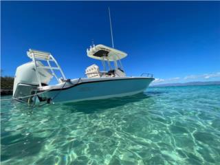 Boston Whaler, Boston Whaler Dauntless 250 (2022) 300 HP 2022, Other-Otro Puerto Rico