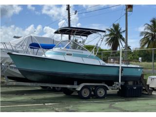 Boats Shamrock 20 Cuddy Cabin Inboard  Puerto Rico