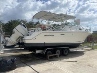 Botes Wellcraft coastal 29 2004 Puerto Rico