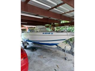 Botes Wellcraft 19 Puerto Rico