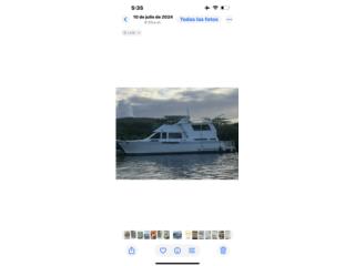 Botes California 49 Puerto Rico