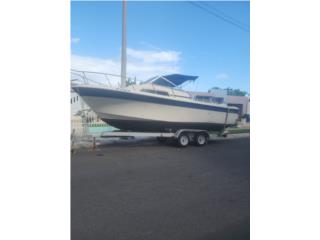 Botes Lancha Wellcraft de 22pies  Puerto Rico