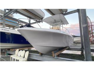 Botes Proline Sport 22pies Puerto Rico