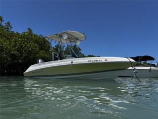 Botes  Wellcraft 18 2006 Puerto Rico