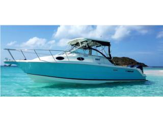 Boats Wellcraft Coastal 302 2018 Como nueva! Puerto Rico