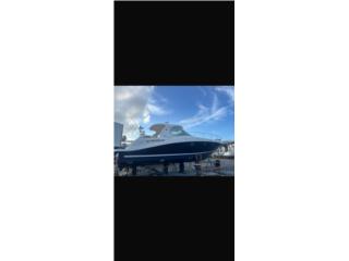 Botes SEA RAY 42 Puerto Rico