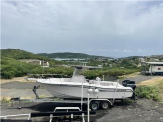 Grady White Chase 24 1994 -Mercury 150HP 2004 Puerto Rico