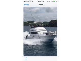 Botes Bote flybridge 34 pies Puerto Rico