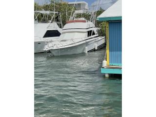 Botes Bertram 37  1987 Puerto Rico