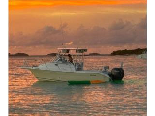 Cobia 2006 walkaround 2 motores yamaha Puerto Rico