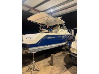 Botes Wellcraft 29 2004 Puerto Rico