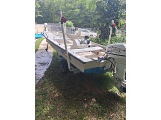 BOTE DURAMAX 15' MOTOR 60 HP, POWER TRIM, GPS Puerto Rico