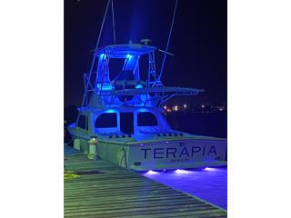 Botes Bertram 31 Flybridge Puerto Rico