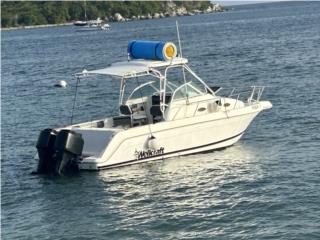 Botes Wellcraft 27 1999 Puerto Rico
