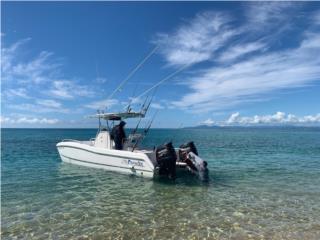 Botes Catamaran Prowler 25 Puerto Rico