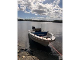 Boats Bote Lone Star 18 pies con Mercury 115hp Puerto Rico