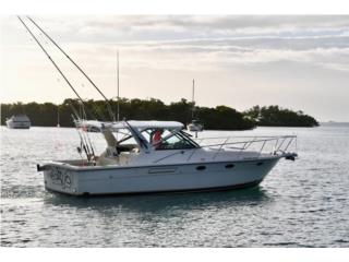 Botes Tiara 31 open Puerto Rico