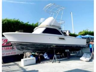 Botes  Bertram 25 Puerto Rico
