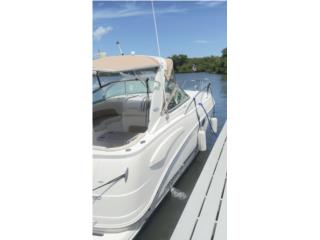 Botes Chaparral Puerto Rico