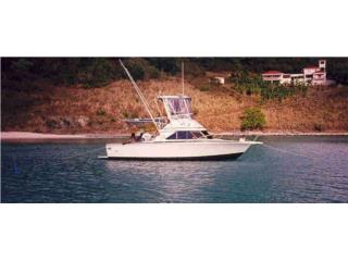 Botes Bertram 28 - 1985 Puerto Rico