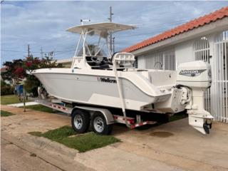 BOTE WELLCRAFT 24.5 CENTER CONSOLE