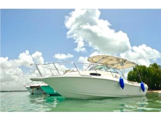 Boats Wellcraft w/a 23 Puerto Rico