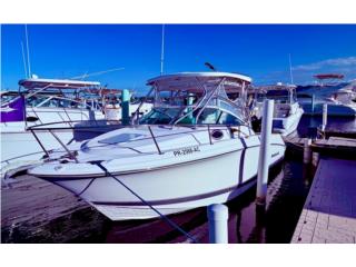Boats Wellcraft Coastal 25.2 2005 walk around Puerto Rico