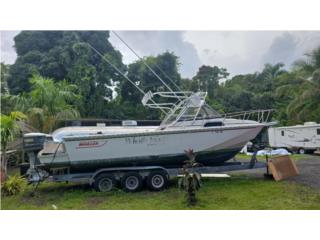 Botes 1989 Boston Whaler 27 con 2 Yamahas Vx Puerto Rico