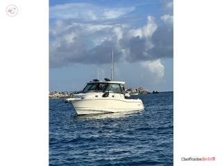 Botes Boston Whaler Puerto Rico