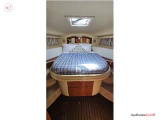Botes Lancha Sea Ray Sedan Bridge 400 Puerto Rico