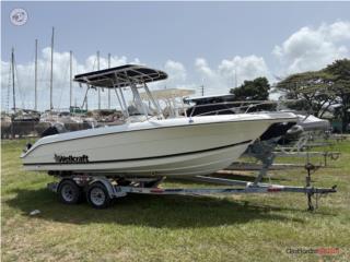 Botes Wellcraft 21 CC Puerto Rico